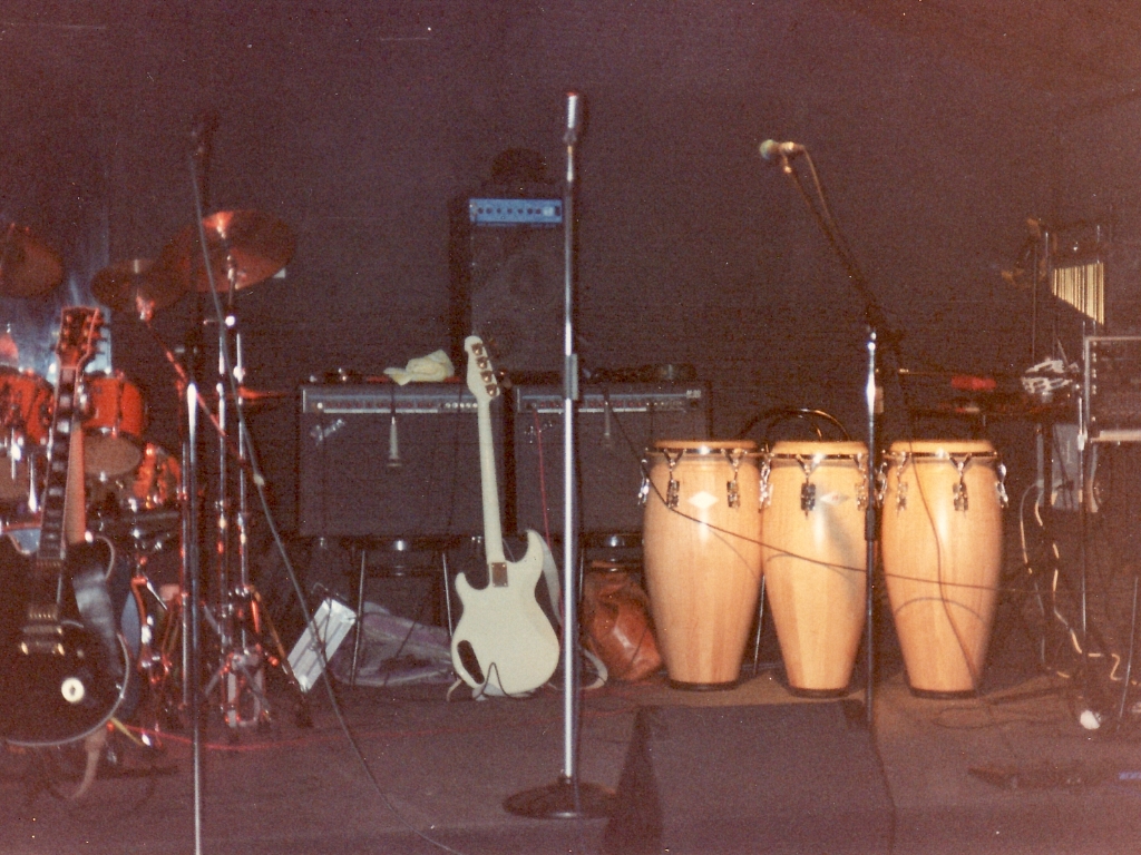 1991-1993 : The BlueSatisfaction