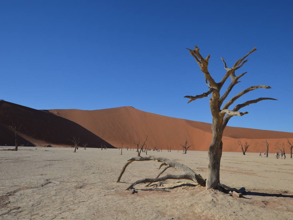 2024_07_Namibia